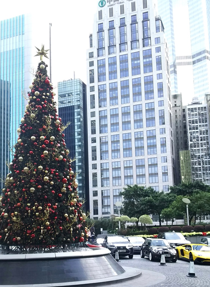 a0169924_9425217.jpg