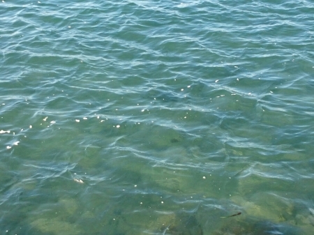 b0259124_07573636.jpg