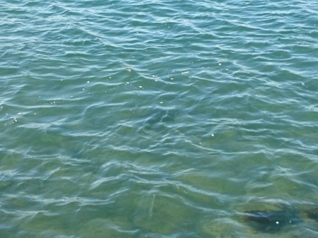 b0259124_07574041.jpg