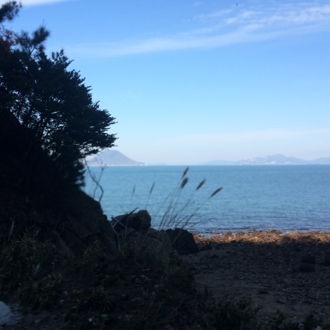 c0077330_19352140.jpeg