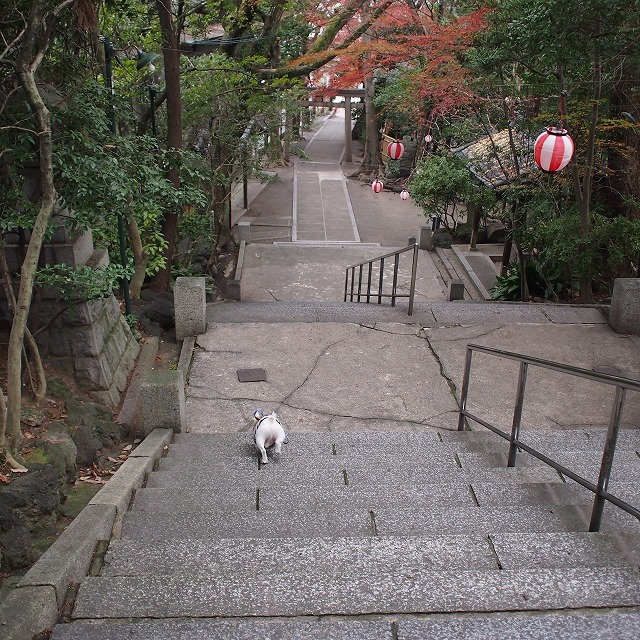 a0148431_14424413.jpg