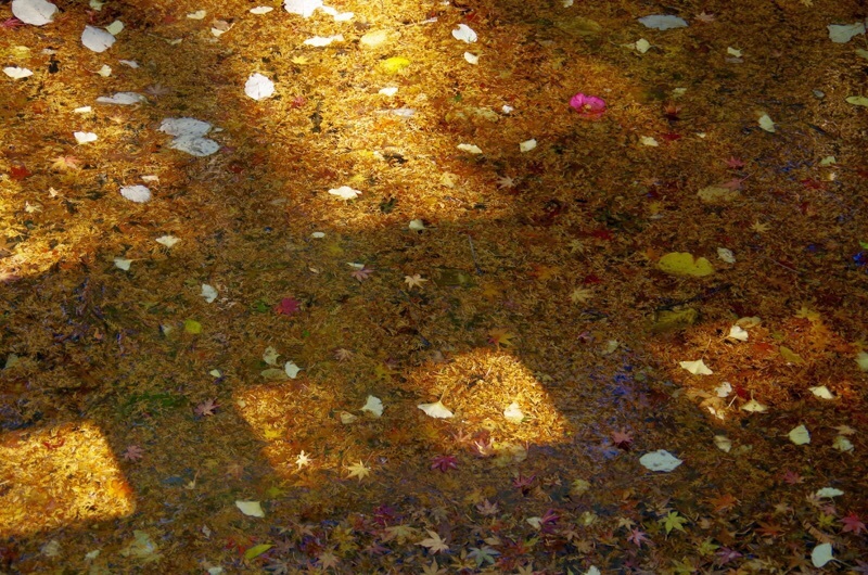 f0338831_17562919.jpg