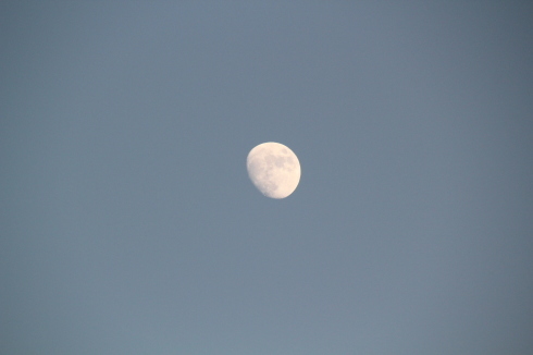 e0166032_14443146.jpg