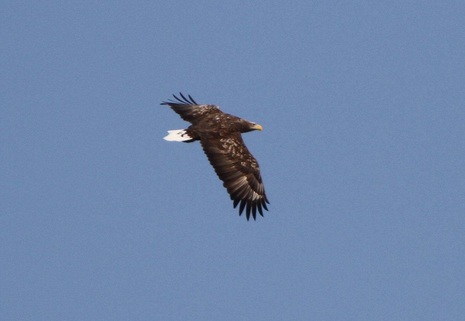 f0118332_14555754.jpg