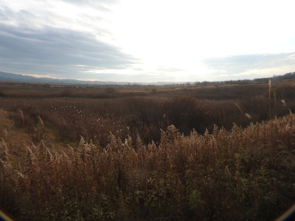 f0118332_15041312.jpg
