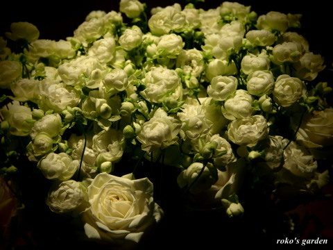 b0343934_23395777.jpg