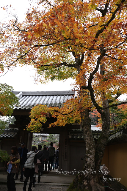 a0207736_22515882.jpg