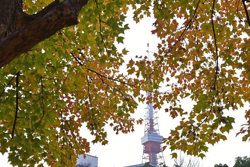 b0042837_3533970.jpg