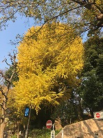 f0065542_18133970.jpg