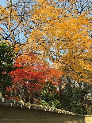 f0065542_18153355.jpg