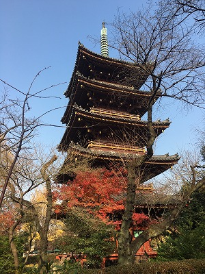 f0065542_18154135.jpg
