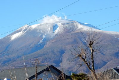 a0142343_12265665.jpg