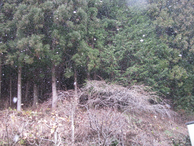 f0151044_18194849.jpg