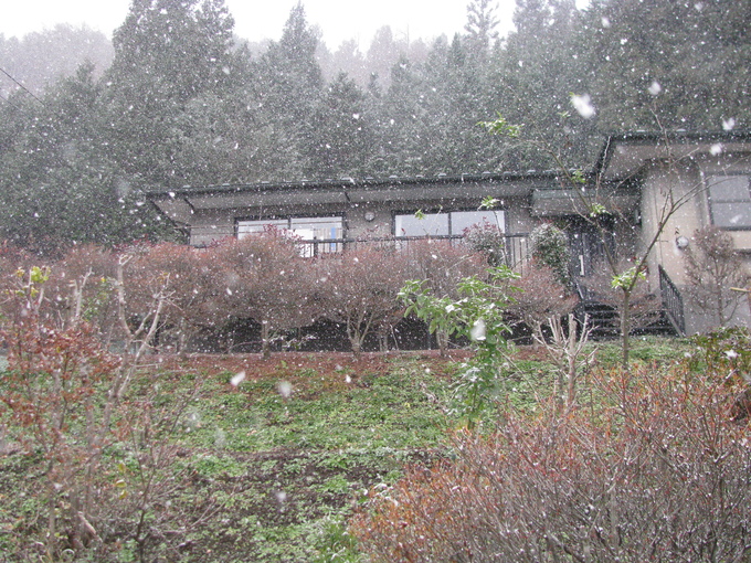 f0151044_1820262.jpg