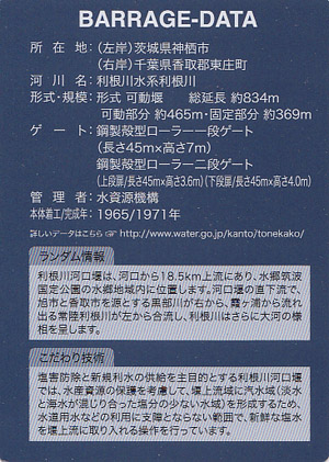 e0033459_1465369.jpg