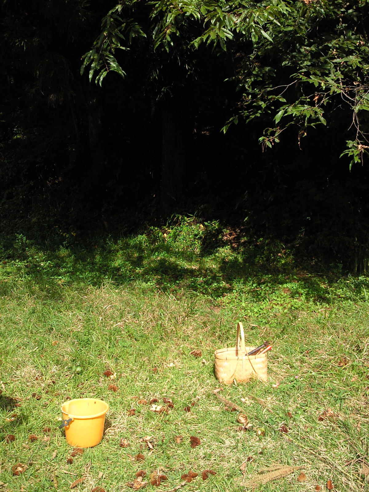 b0139862_23222894.jpg