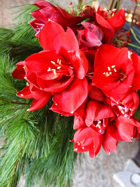 c0059063_7413935.jpg
