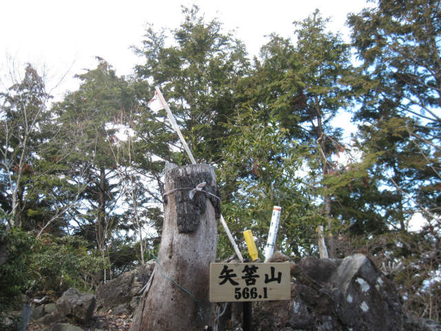 c0219866_179388.jpg