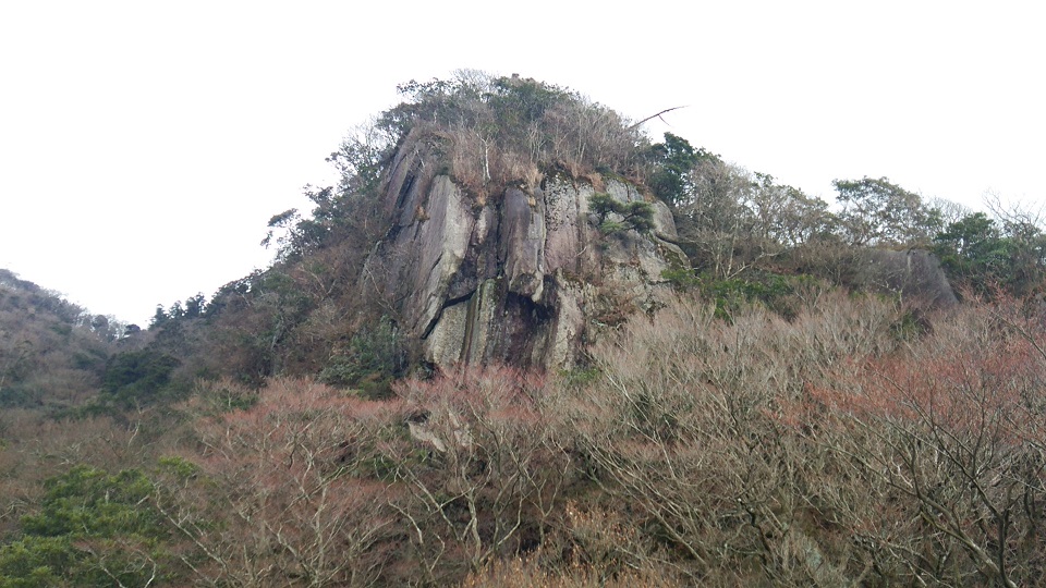 f0016066_3131377.jpg