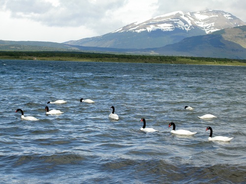 e0205478_1272415.jpg