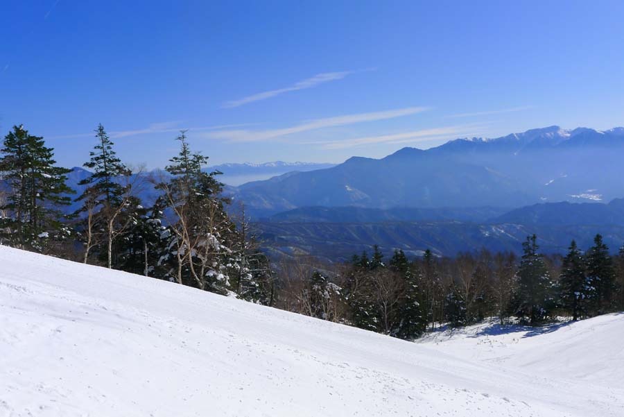 a0130586_204910.jpg