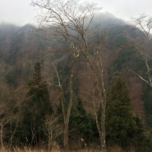c0341290_17214388.jpg