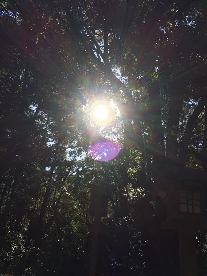 e0233191_00183487.jpg