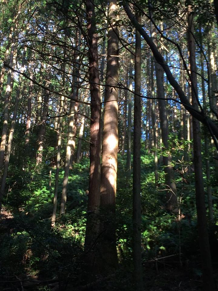 e0233191_00205447.jpg