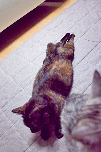 c0159092_2215550.jpg