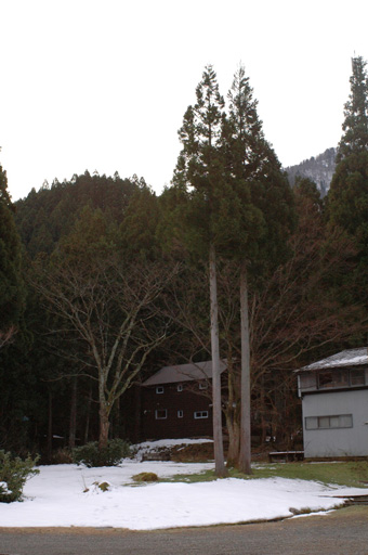 a0061599_7325819.jpg