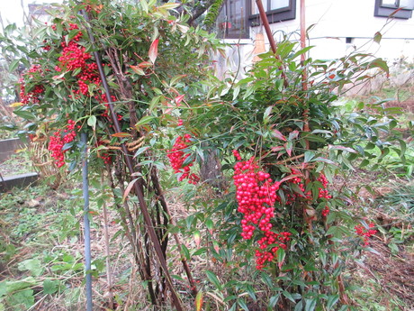 a0203003_9424099.jpg