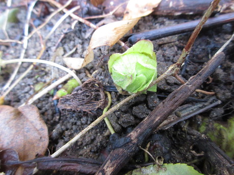 a0203003_94334.jpg
