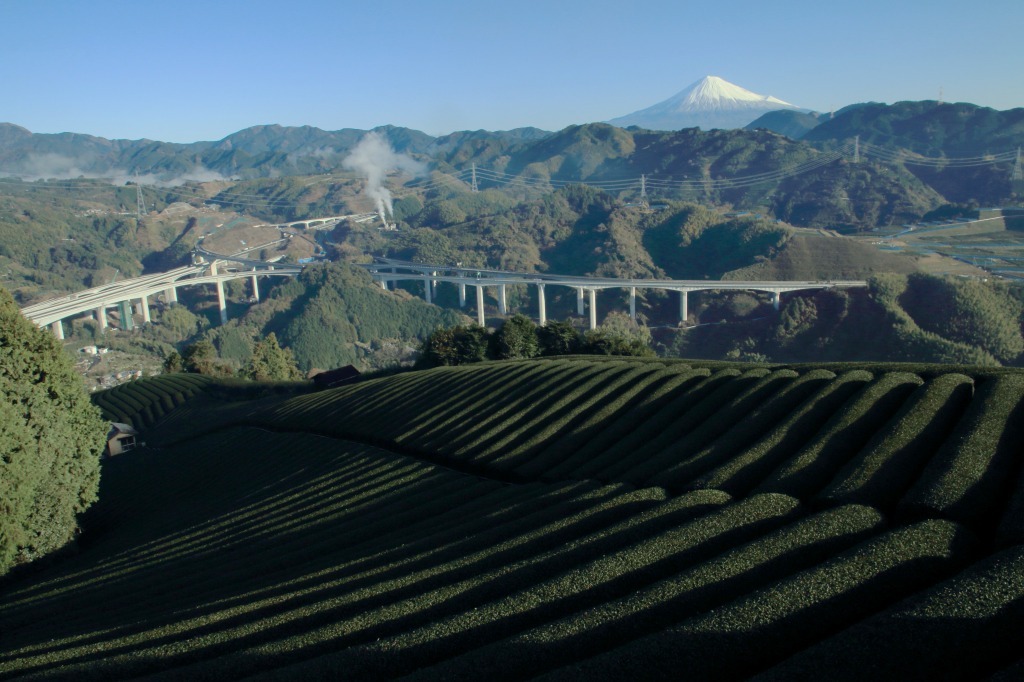 a0188405_21383684.jpg