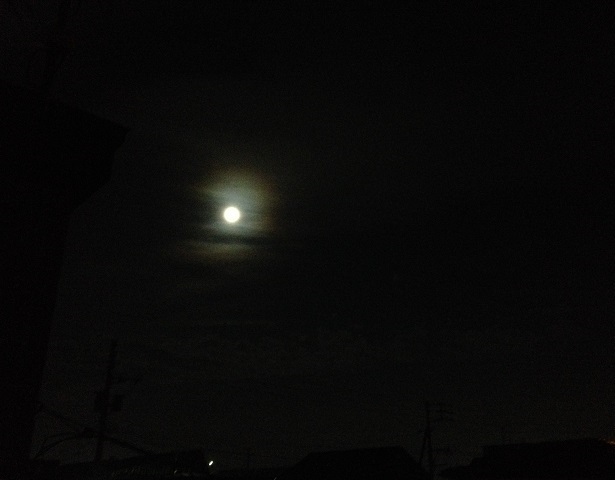 a0337807_18372662.jpg