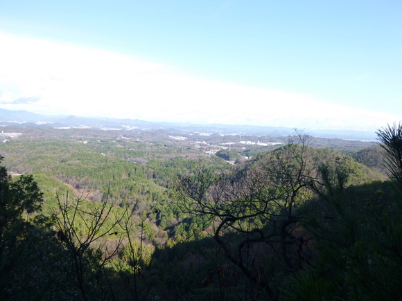 d0170615_1936831.jpg