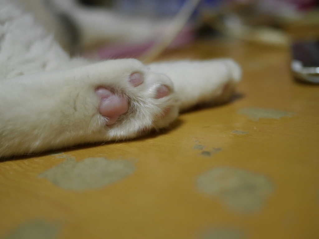 f0282319_05354898.jpg