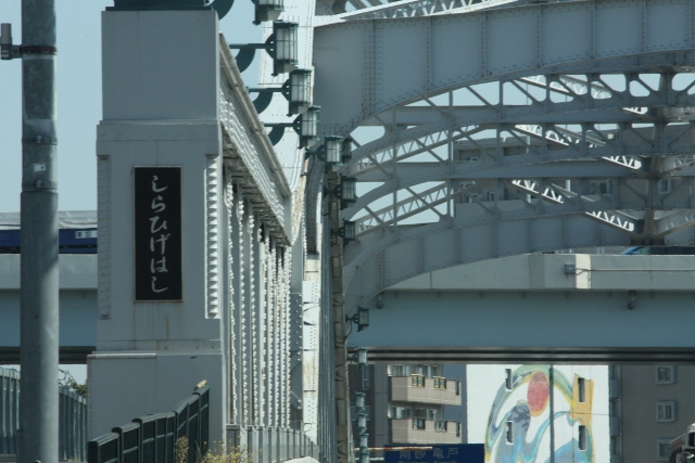 a0214329_8513840.jpg