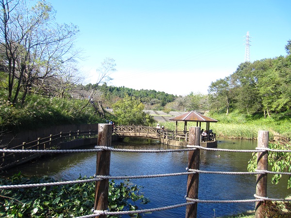 f0002833_7453980.jpg