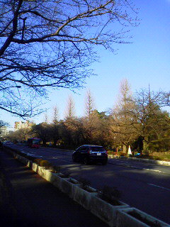 b0077451_227112.jpg