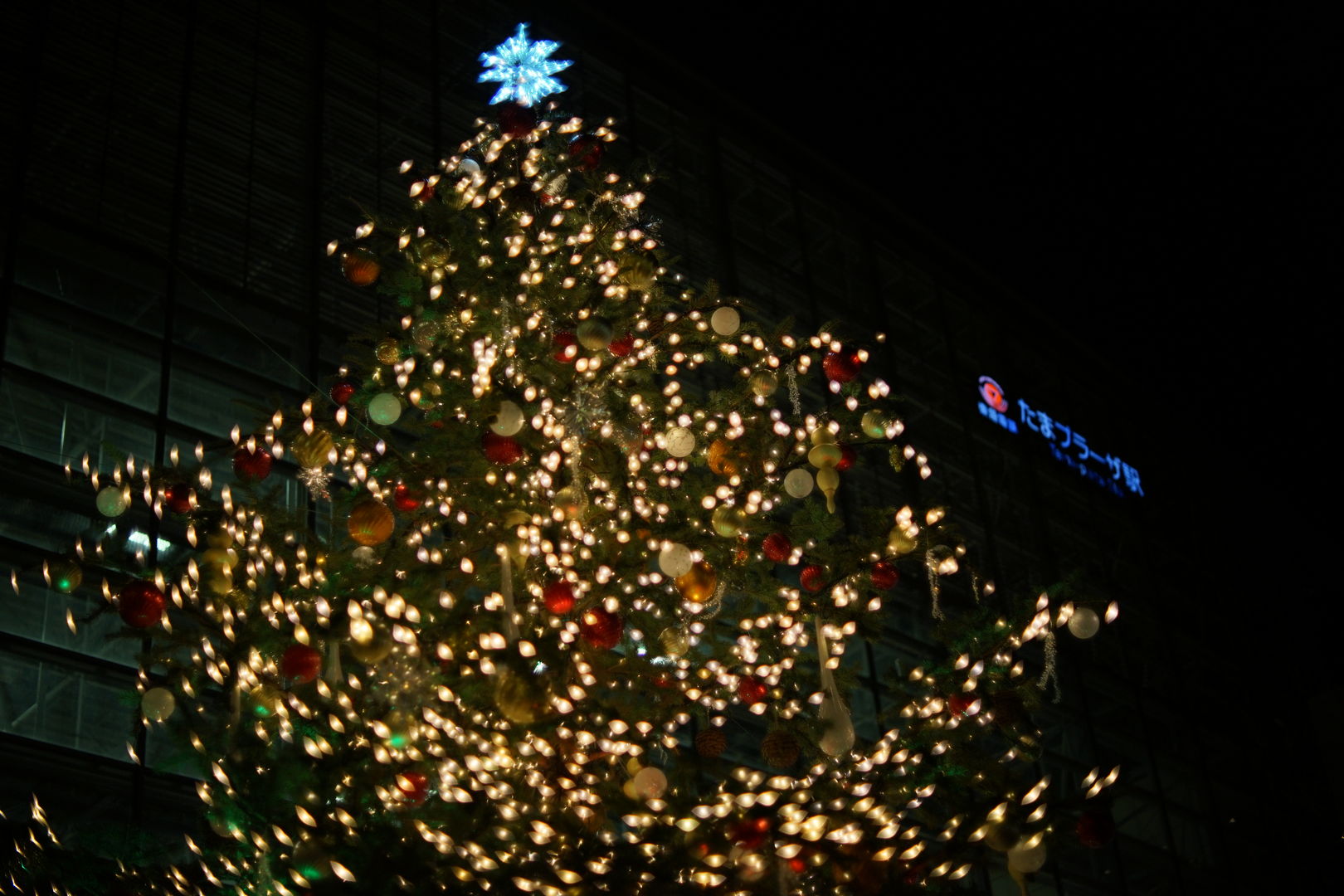 a0063552_20571629.jpg