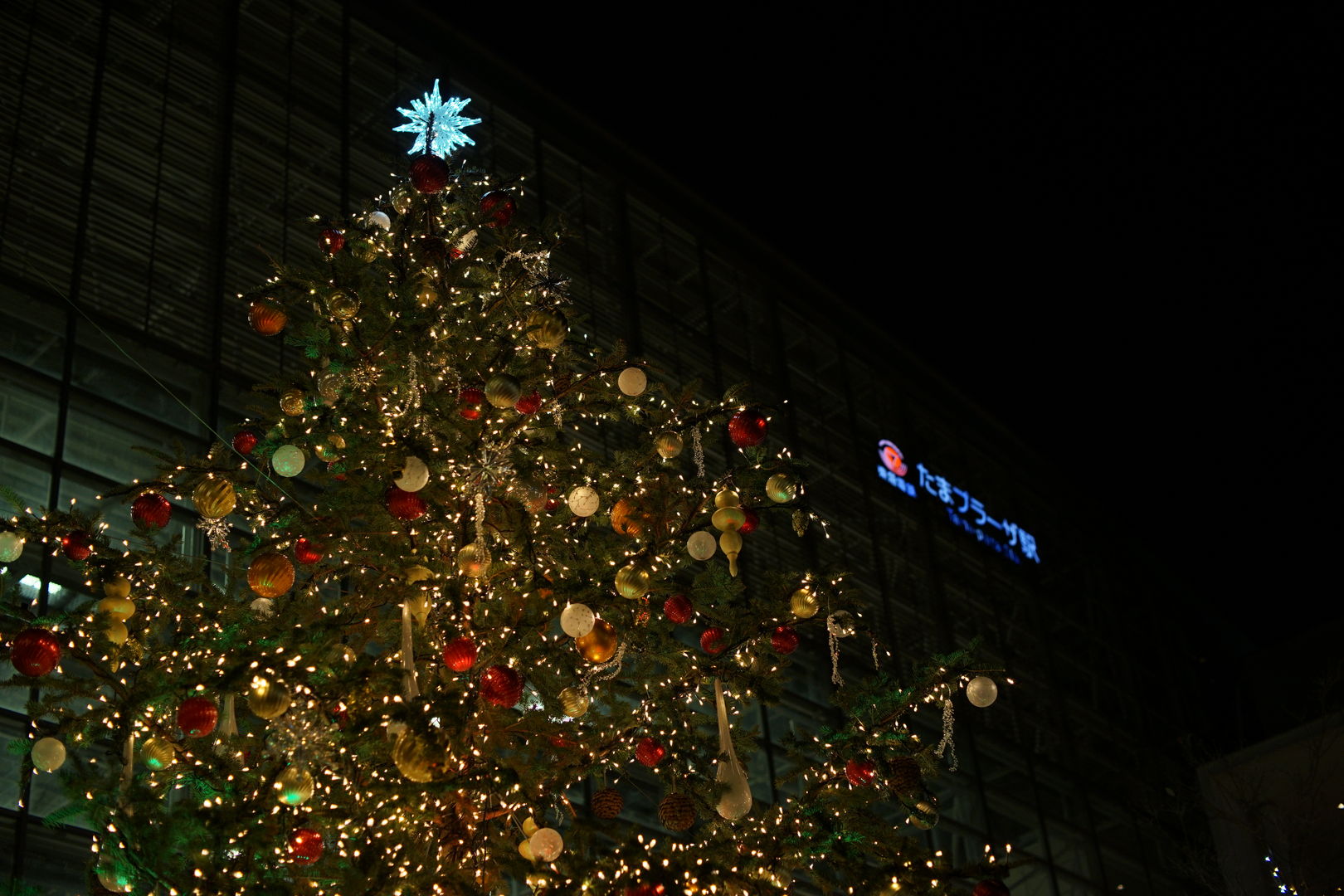 a0063552_20573250.jpg
