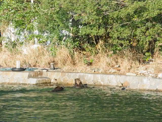 a0248152_17433937.jpg