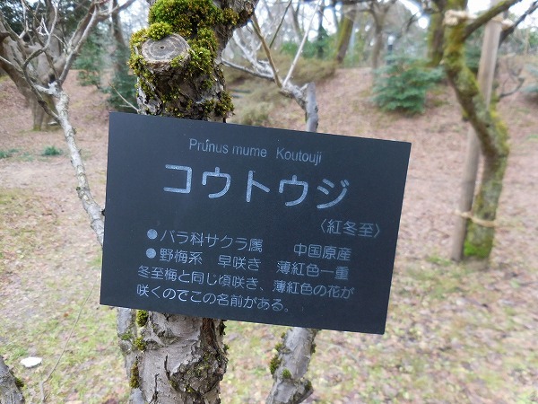 c0327752_00215985.jpg