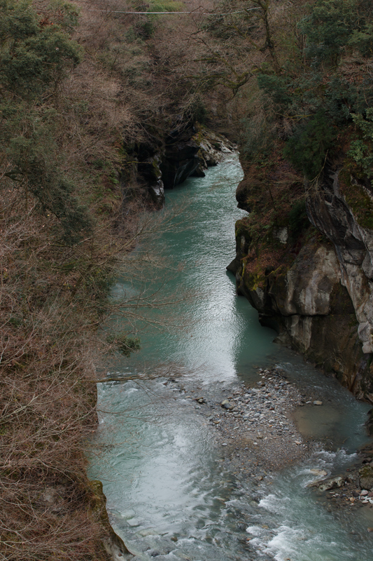 d0342652_12231120.jpg