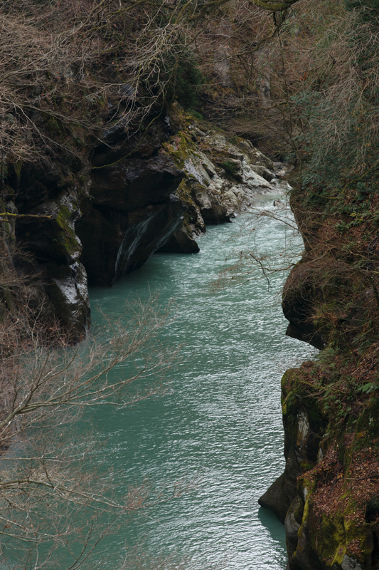 d0342652_12234012.jpg