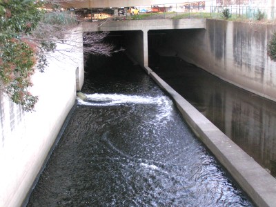 c0112172_23454285.jpg