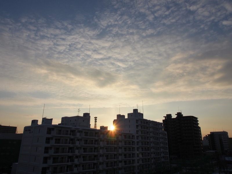 c0183777_2054490.jpg