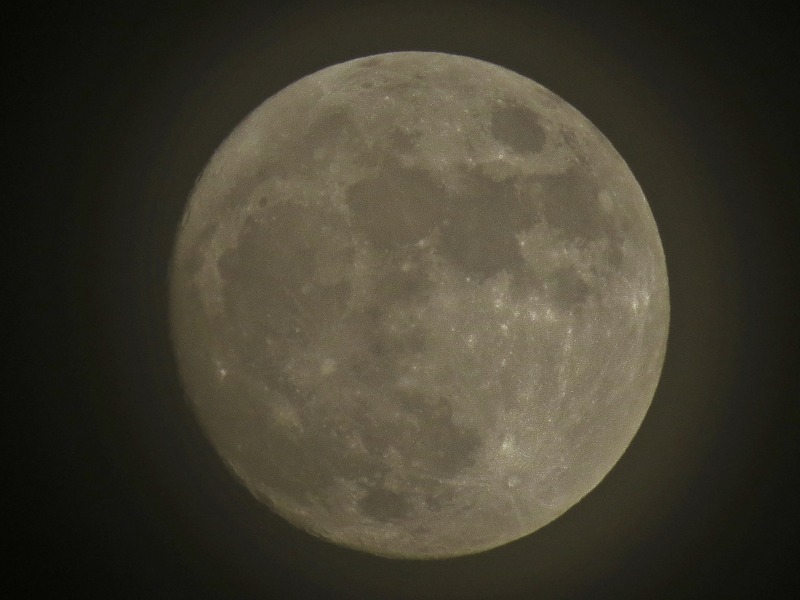 c0183777_2075286.jpg
