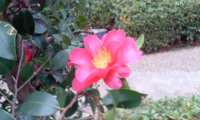 c0069380_12454088.jpg