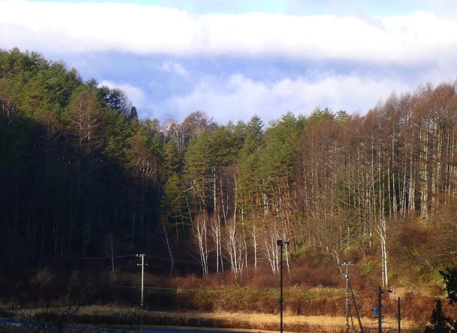 a0130586_18214927.jpg